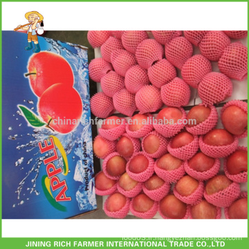 Hot Sale Fresh Fuji Apple produits, Chine Fruit Fuji Apple Supplier